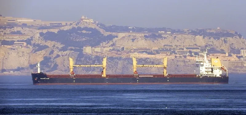 NAUTICAL ALICE Bulk Carrier IMO 9737694 photo 3