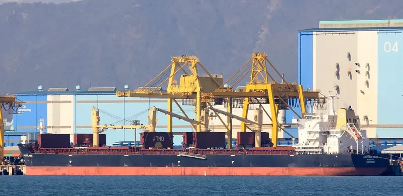 NAUTICAL ALICE Bulk Carrier IMO 9737694 photo 4