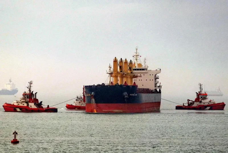 NAUTICAL ALICE Bulk Carrier IMO 9737694 photo 9
