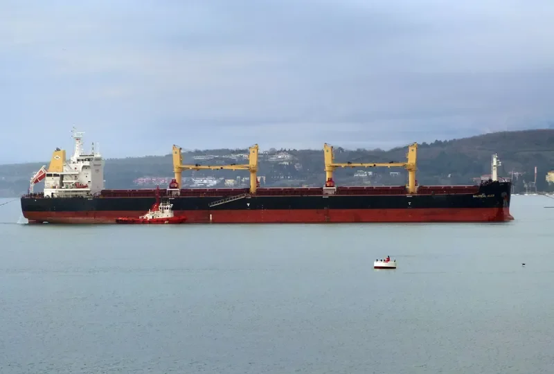 NAUTICAL ALICE Bulk Carrier IMO 9737694 photo 10