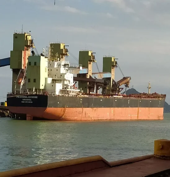 PEDHOULAS ROSE Bulk Carrier IMO 9738038