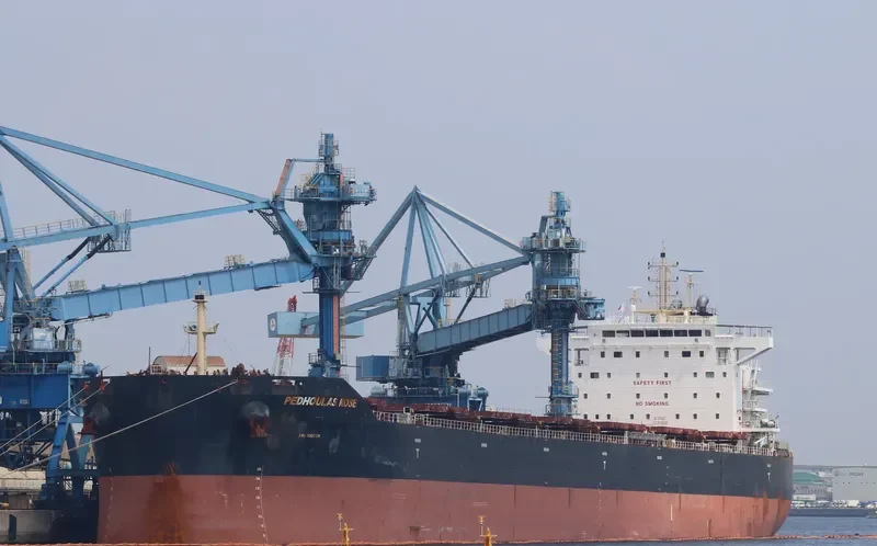 PEDHOULAS ROSE Bulk Carrier IMO 9738038 photo 2