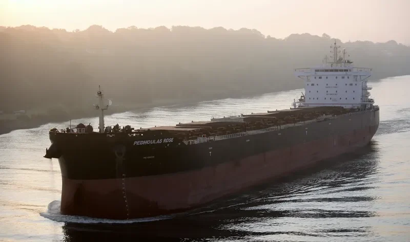 PEDHOULAS ROSE Bulk Carrier IMO 9738038 photo 3