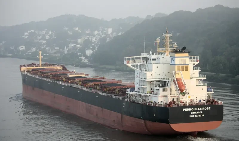 PEDHOULAS ROSE Bulk Carrier IMO 9738038 photo 4