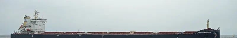PEDHOULAS ROSE Bulk Carrier IMO 9738038 photo 5