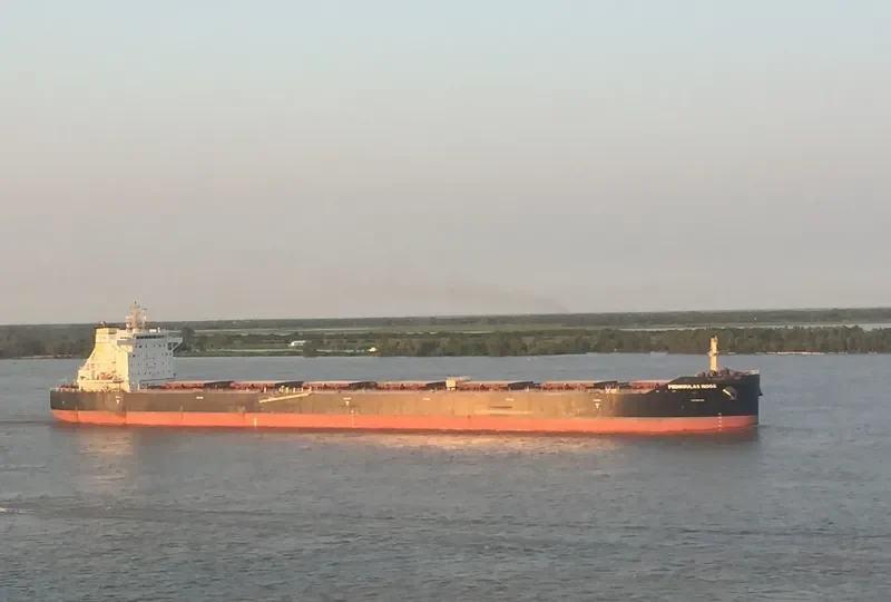 PEDHOULAS ROSE Bulk Carrier IMO 9738038 photo 6