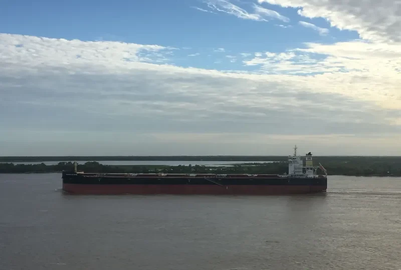PEDHOULAS ROSE Bulk Carrier IMO 9738038 photo 7