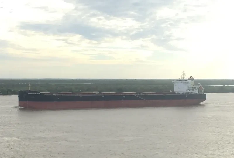PEDHOULAS ROSE Bulk Carrier IMO 9738038 photo 8