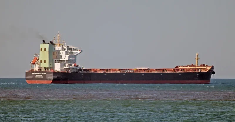 PEDHOULAS ROSE Bulk Carrier IMO 9738038 photo 9