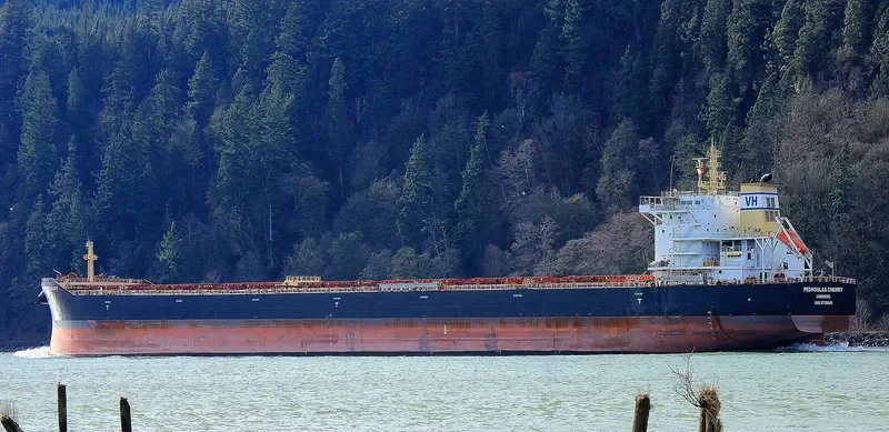 PEDHOULAS CHERRY Bulk Carrier IMO 9738040