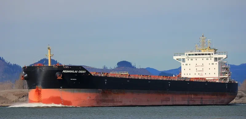 PEDHOULAS CHERRY Bulk Carrier IMO 9738040 photo 4