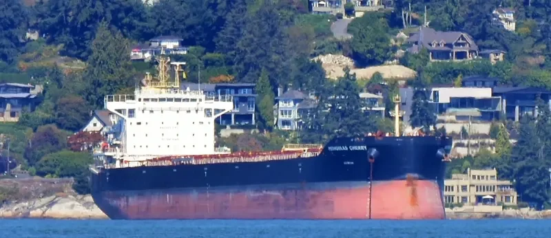 PEDHOULAS CHERRY Bulk Carrier IMO 9738040 photo 5