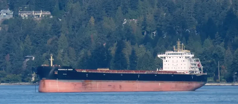 PEDHOULAS CHERRY Bulk Carrier IMO 9738040 photo 7