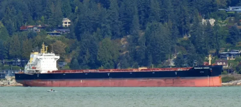 PEDHOULAS CHERRY Bulk Carrier IMO 9738040 photo 8