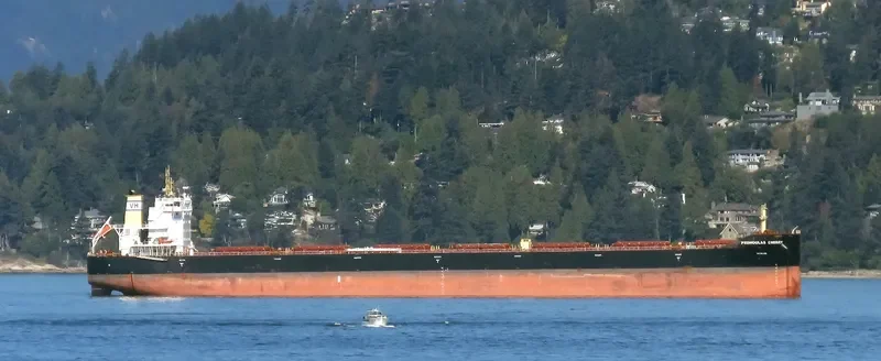PEDHOULAS CHERRY Bulk Carrier IMO 9738040 photo 9