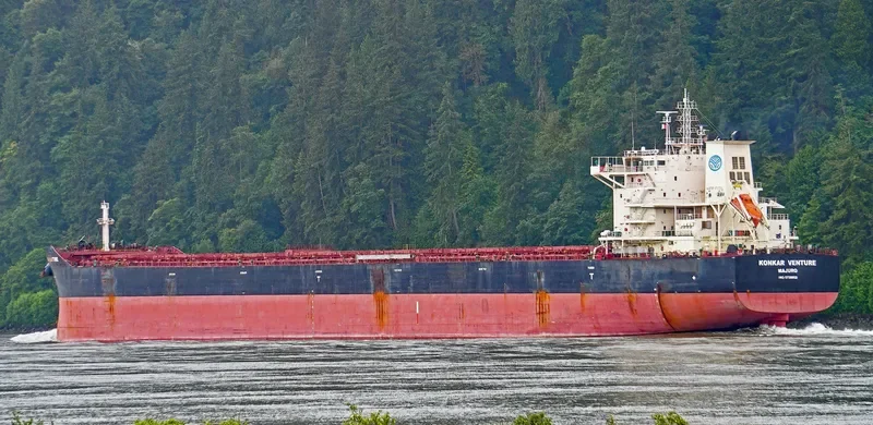 KONKAR VENTURE Bulk Carrier IMO 9738052 photo 6
