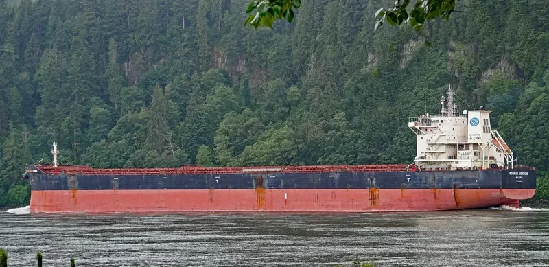 KONKAR VENTURE Bulk Carrier IMO 9738052 photo 7