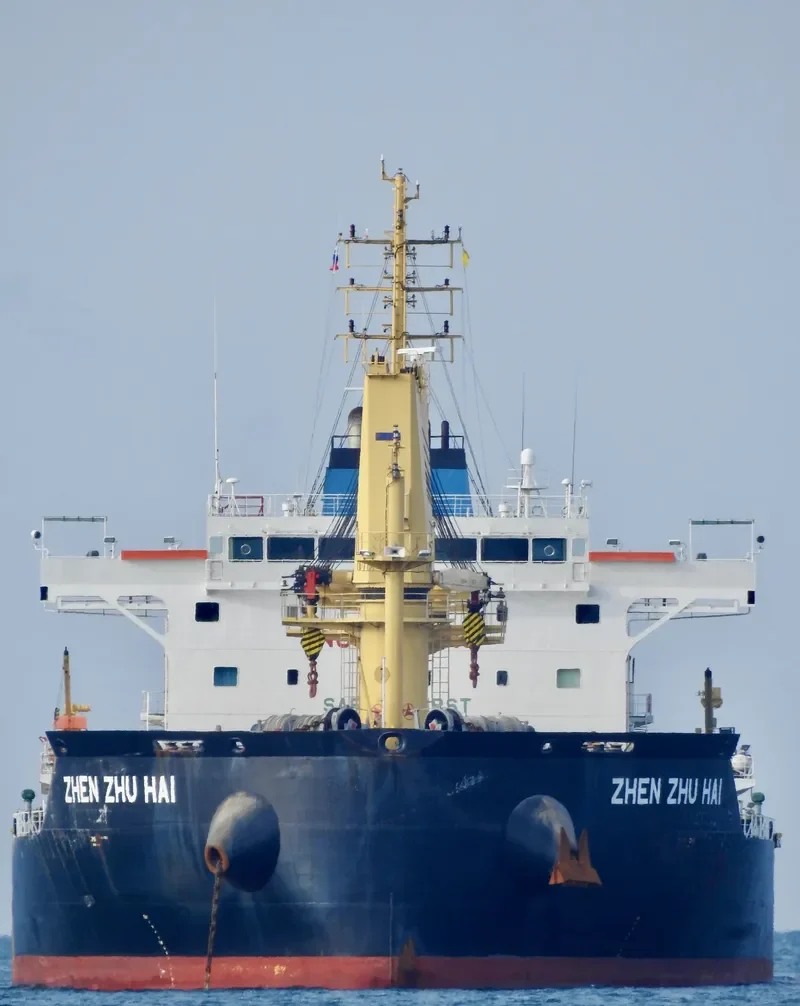 ZHEN ZHU HAI Bulk Carrier IMO 9738088