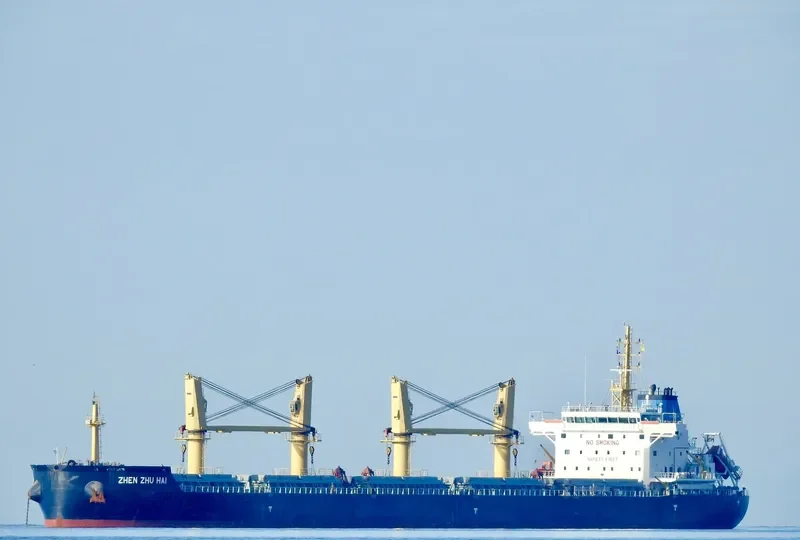 ZHEN ZHU HAI Bulk Carrier IMO 9738088 photo 2