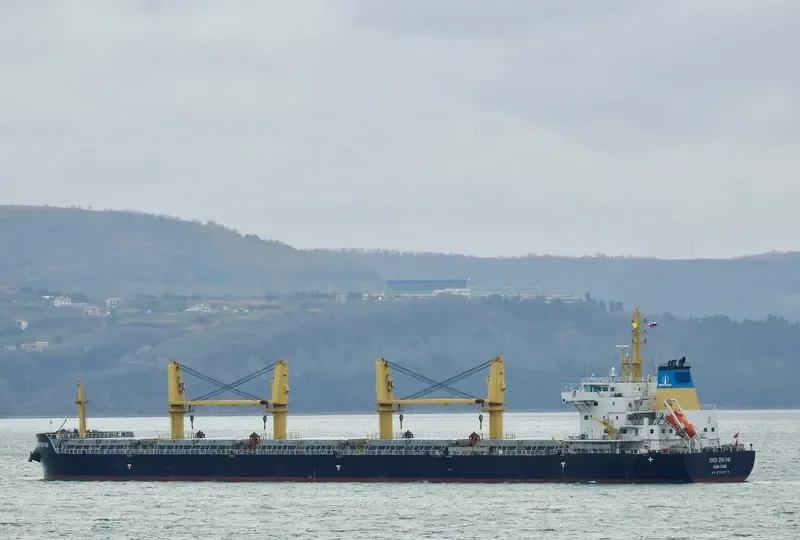 ZHEN ZHU HAI Bulk Carrier IMO 9738088 photo 3