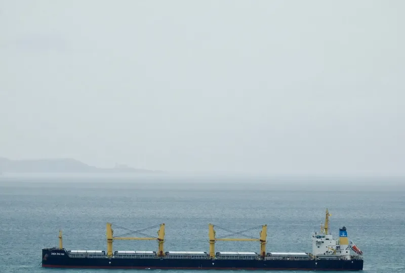 ZHEN ZHU HAI Bulk Carrier IMO 9738088 photo 4