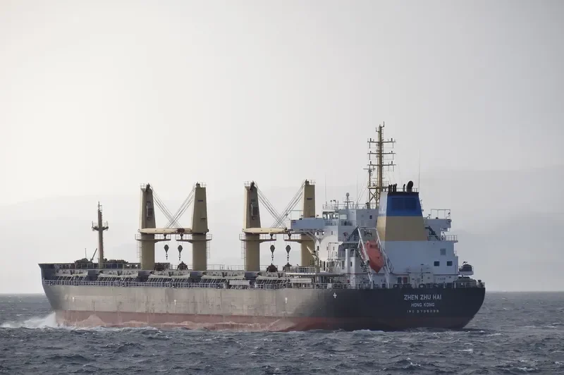 ZHEN ZHU HAI Bulk Carrier IMO 9738088 photo 5