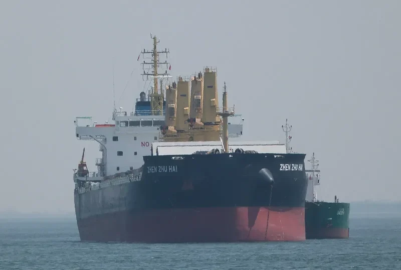 ZHEN ZHU HAI Bulk Carrier IMO 9738088 photo 7