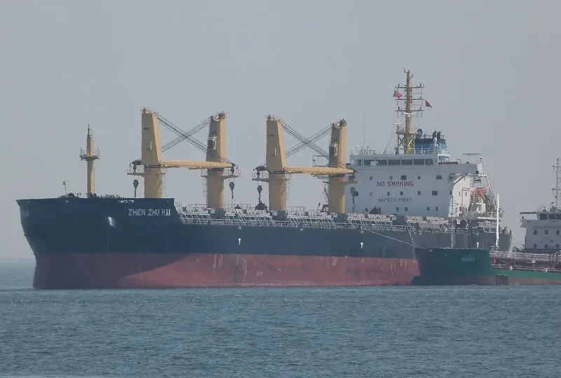 ZHEN ZHU HAI Bulk Carrier IMO 9738088 photo 8