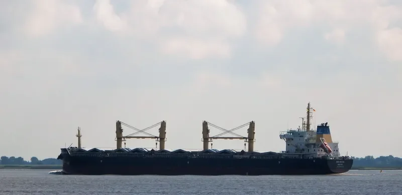 ZHEN ZHU HAI Bulk Carrier IMO 9738088 photo 9