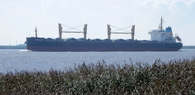 ZHEN ZHU HAI Bulk Carrier IMO 9738088 photo 10