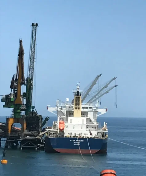 THETIS Bulk Carrier IMO 9738208