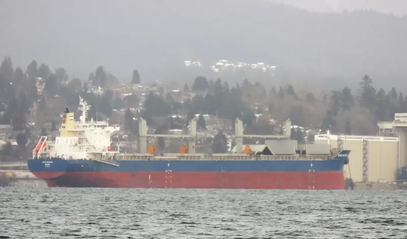 THETIS Bulk Carrier IMO 9738208 photo 2