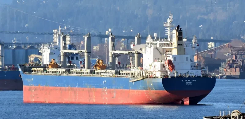 THETIS Bulk Carrier IMO 9738208 photo 9