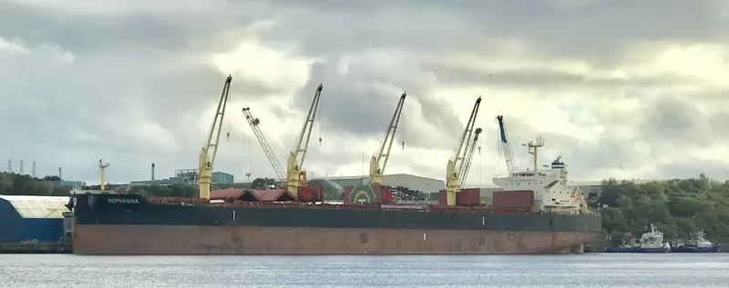 SOPHIANA Bulk Carrier IMO 9738454