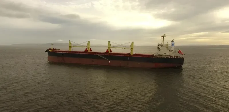 SOPHIANA Bulk Carrier IMO 9738454 photo 2