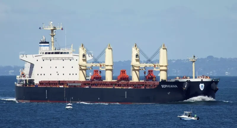 SOPHIANA Bulk Carrier IMO 9738454 photo 8