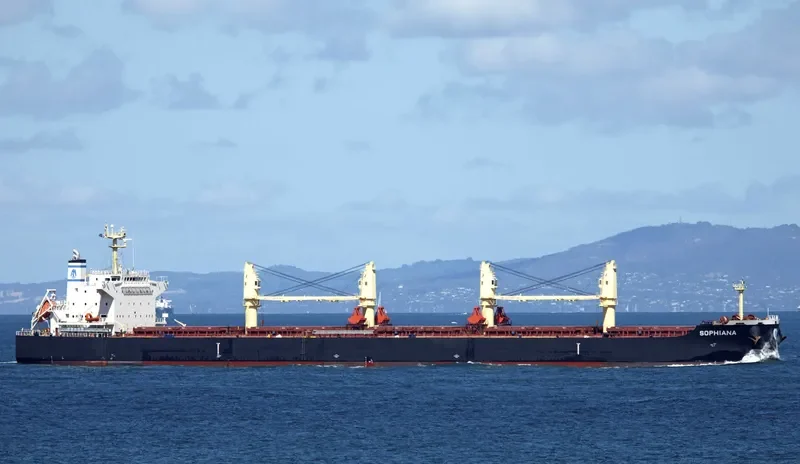 SOPHIANA Bulk Carrier IMO 9738454 photo 9