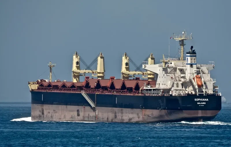 SOPHIANA Bulk Carrier IMO 9738454 photo 10
