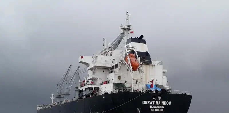 GREAT RAINBOW Bulk Carrier IMO 9738492