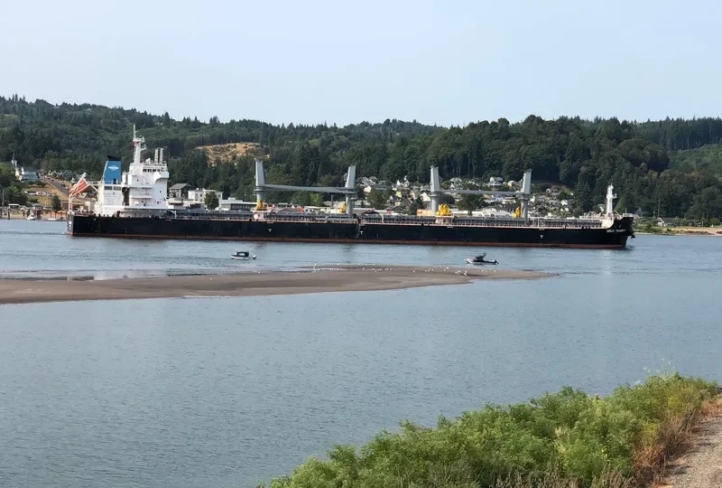 GREAT RAINBOW Bulk Carrier IMO 9738492 photo 2