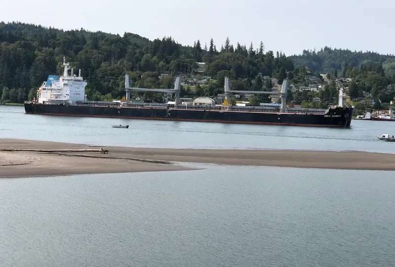 GREAT RAINBOW Bulk Carrier IMO 9738492 photo 3