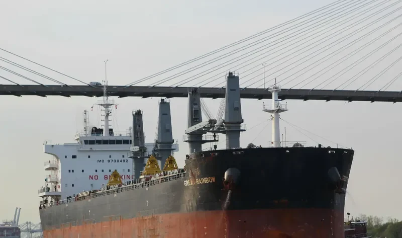 GREAT RAINBOW Bulk Carrier IMO 9738492 photo 5