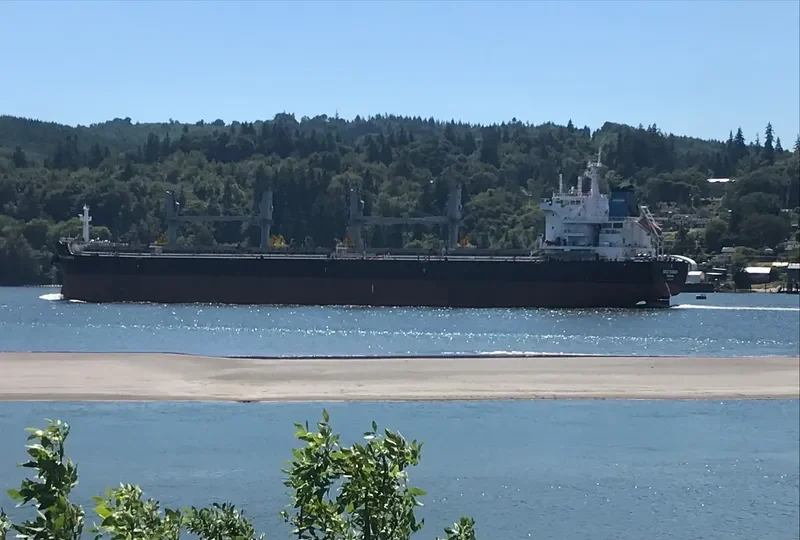 GREAT RAINBOW Bulk Carrier IMO 9738492 photo 7