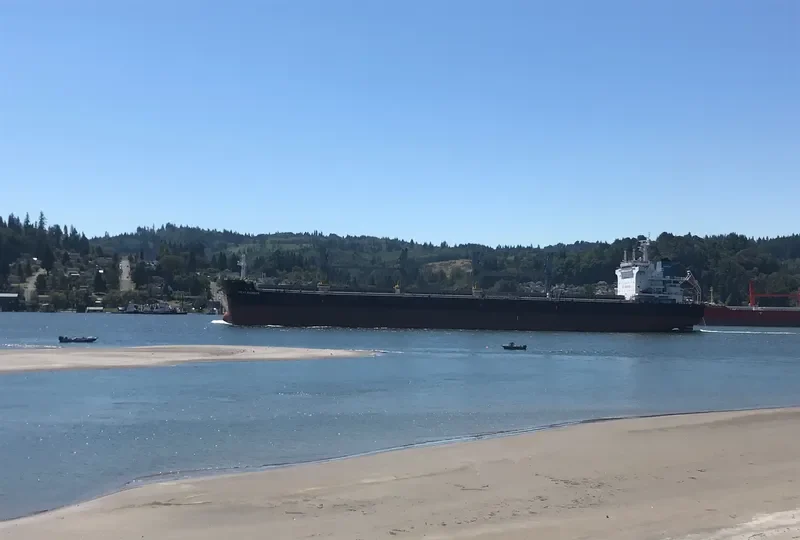 GREAT RAINBOW Bulk Carrier IMO 9738492 photo 8