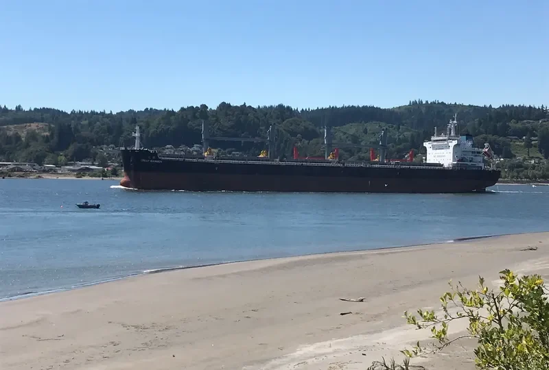 GREAT RAINBOW Bulk Carrier IMO 9738492 photo 9