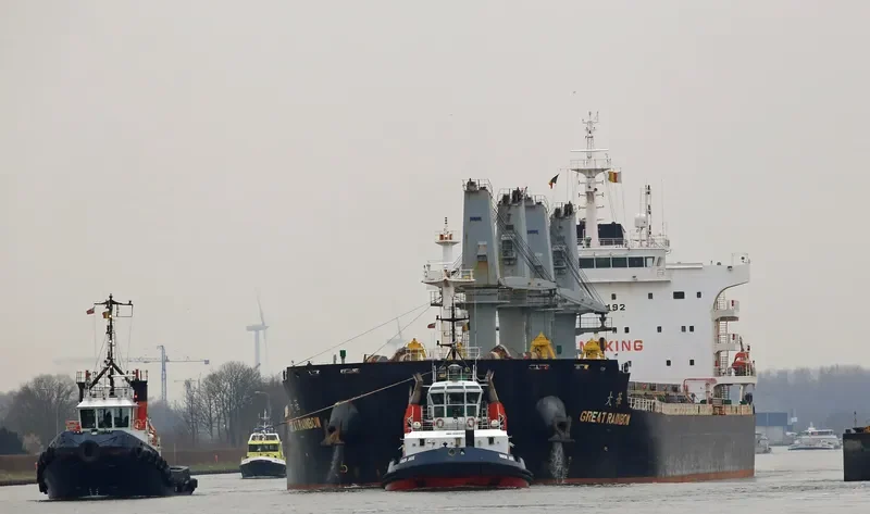 GREAT RAINBOW Bulk Carrier IMO 9738492 photo 10