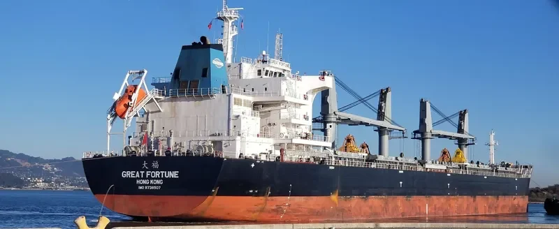 GREAT FORTUNE Bulk Carrier IMO 9738507