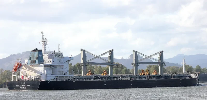 GREAT FORTUNE Bulk Carrier IMO 9738507 photo 2