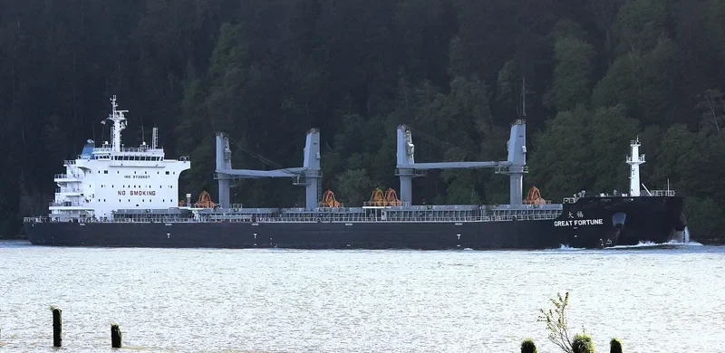 GREAT FORTUNE Bulk Carrier IMO 9738507 photo 3
