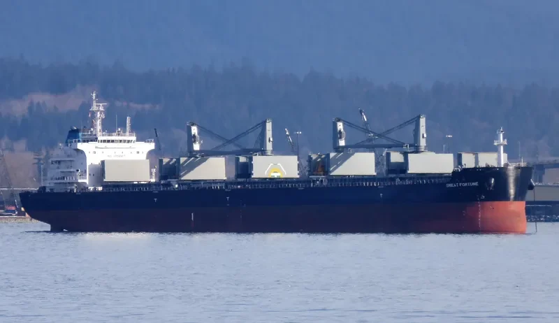 GREAT FORTUNE Bulk Carrier IMO 9738507 photo 4